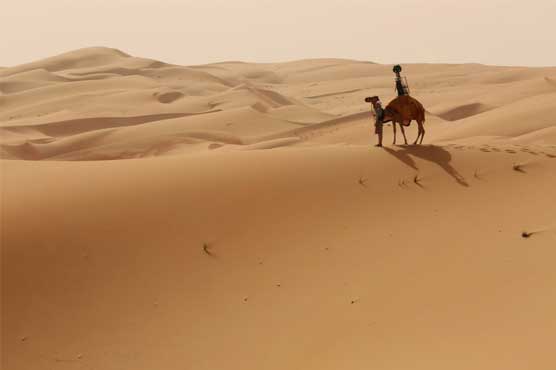 Camel ride makes Google's street-view of Liwa Desert better