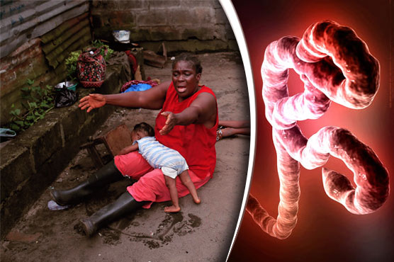 Ebola death rate up to 70 percent: WHO