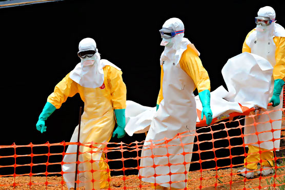 World vows Ebola action as second US case stirs fears 