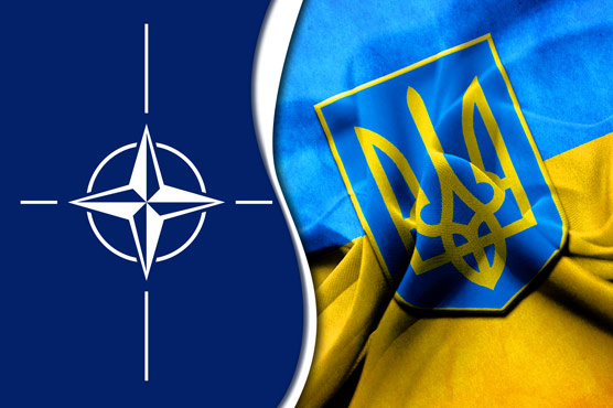 Support for NATO membership grows in Ukraine: poll