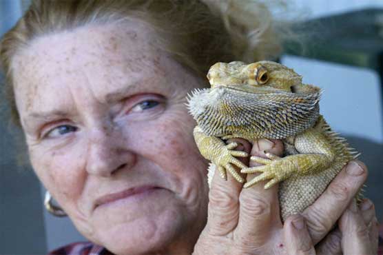 Salem woman gives away her bearded pet dragons
