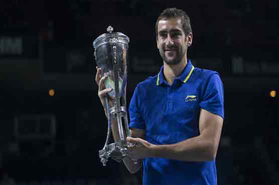 Tennis: Cilic, Pavlyuchenkova win Kremlin Cup titles