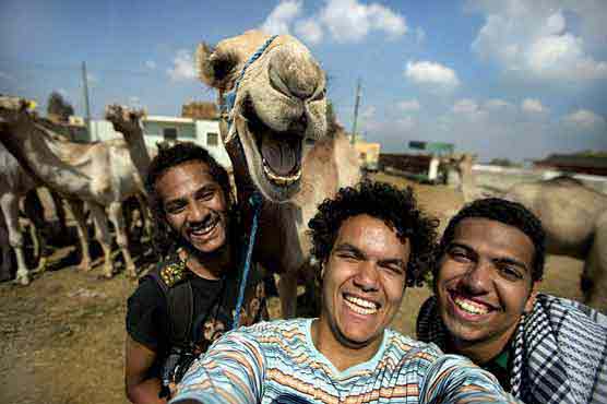 Smiling camel selfie goes viral on social media