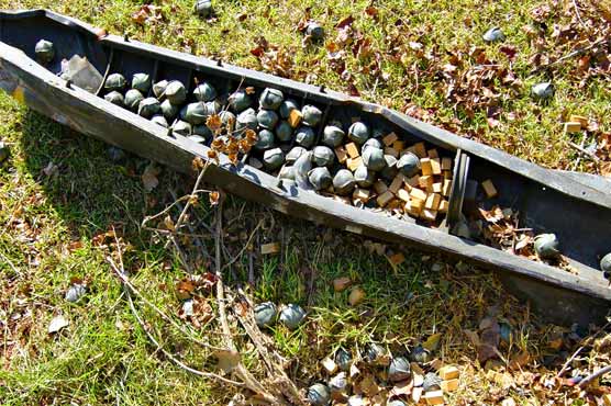 Ukraine vows to probe banned 'cluster bomb' charges