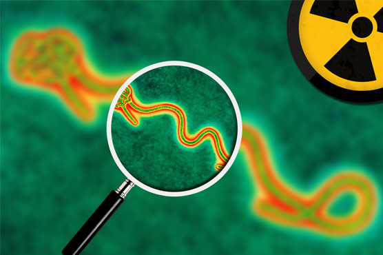 Ebola: Why virus kills some, other people survive