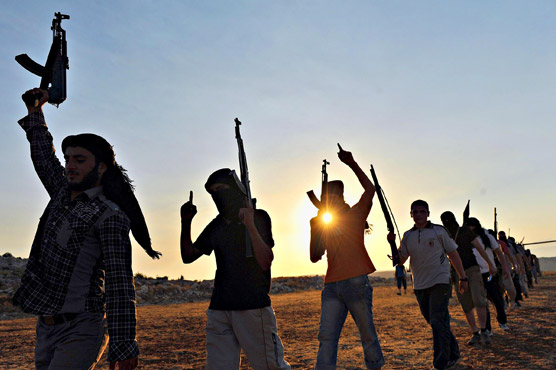 US arms airdrop falls into jihadist hands in Syria: monitor