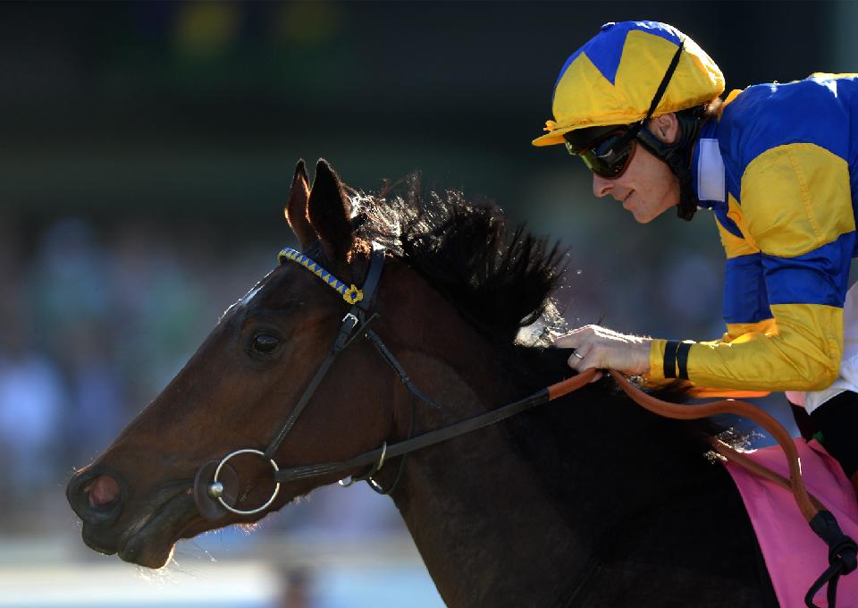 Racing: Hughes set to win English jockeys' title