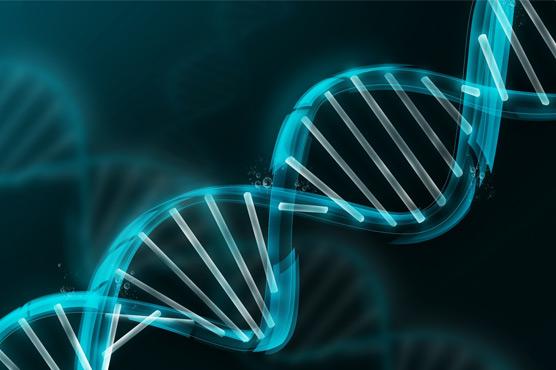 Oldest DNA ever found sheds light on humans' global trek