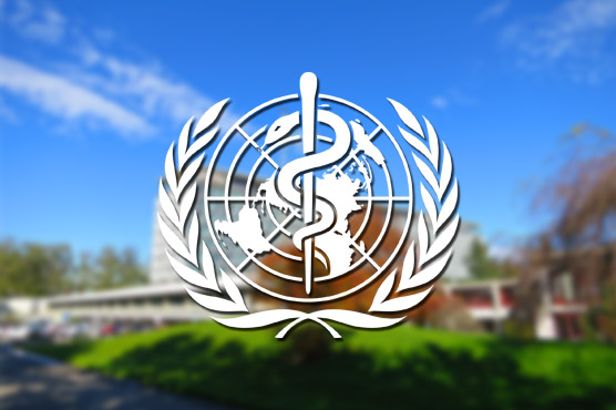 Ebola still of 'great concern' in west Africa epicentre: WHO