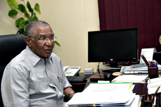 Abducted Chinese worker freed in Sudan: minister