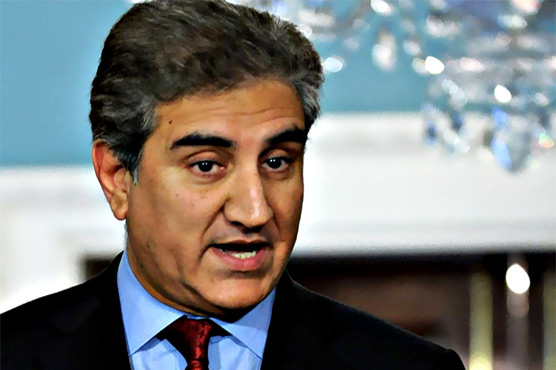 Speaker can ask me on Nov 29 if I coerced MNAs to resign: Shah Mehmood