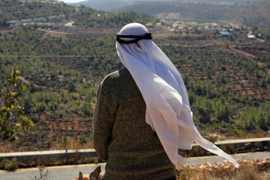 Denied land access, Palestinians miss olive harvest 