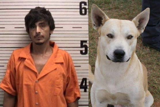 Man's own dog helps police bust him on drug charge