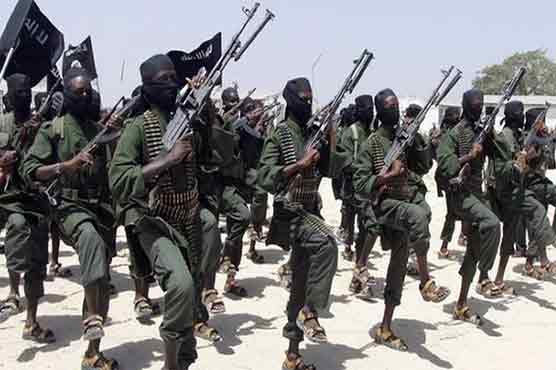 Somalia's Shebab appoints successor for killed leader: SITE