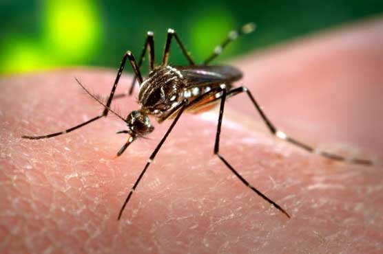 Two new dengue cases confirmed in Lahore, Rawalpindi