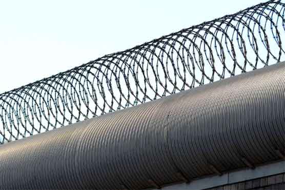 Singapore jails London-based woman for seaborne custody bid