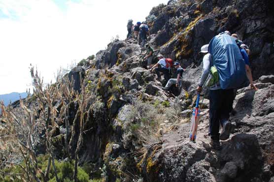 Ashley Giles' 24 spare balls for world's highest game