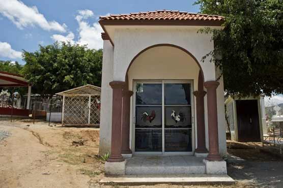 Mexican drug lord makes waves with videos