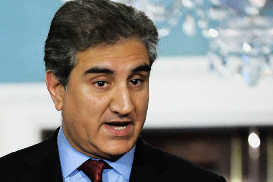 No outgoing PTA MNA to meet NA Speaker separately: Shah Mehmood