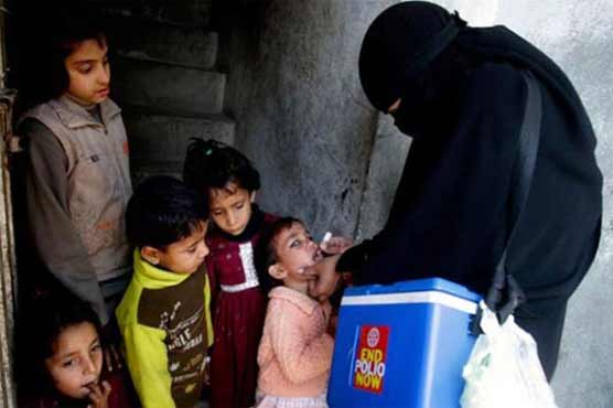 One-day polio drive begins in Peshawar 