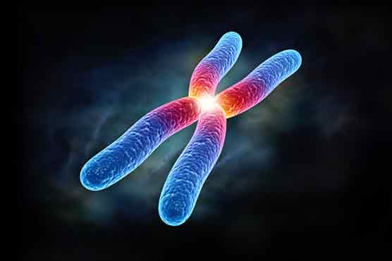 DNA blood test is accurate for detecting Down syndrome