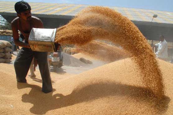 Multan: Wheat procurement target set more than 2.2 lac ton