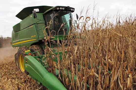 Corn husks a promising source of renewable fuel: study