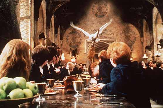 French court acquits 'Harry Potter' owl breeder