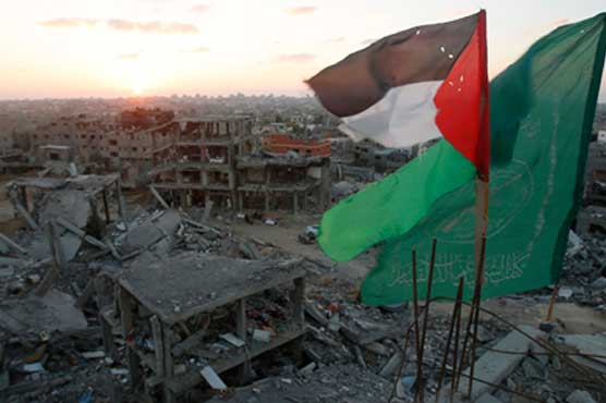 NGOs demand urgent change in world's approach to Gaza