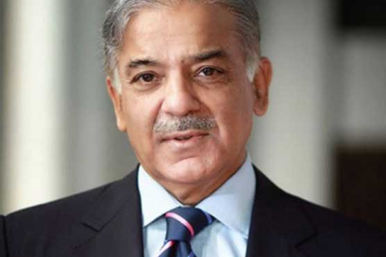 CM Shahbaz to convey PM's message to Saudi leader