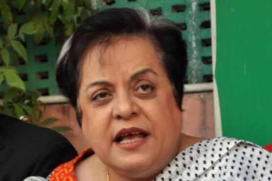 Will present evidence in coming session of judicial commission: Shireen Mazari