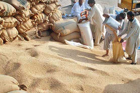 Punjab Government targets to buy 4 million ton wheat