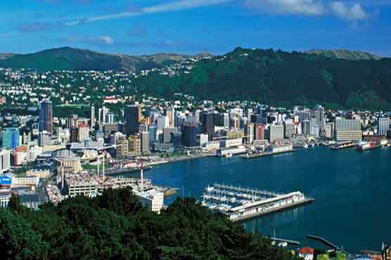 Moderate earthquake rattles New Zealand capital