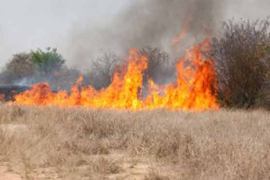 Police arrest Utah man who lit brush fire 'to signal for help'
