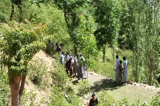 8 dead after van falls into ravine in Shangla
