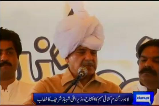 CM Punjab inaugurates wheat harvesting in Punjab