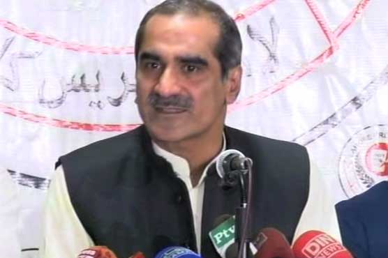 Cantt polls validated PML-N's victory in 2013 election: Saad Rafique