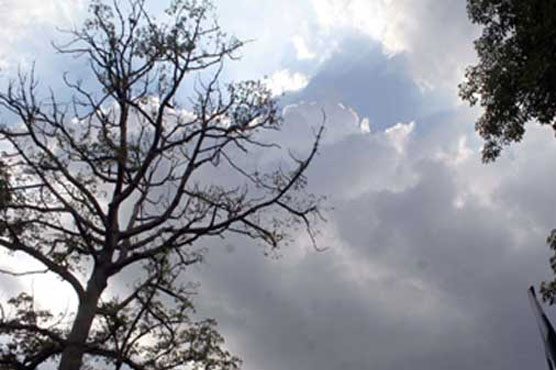 Windstorm likely in Punjab, KP areas, high alert issued