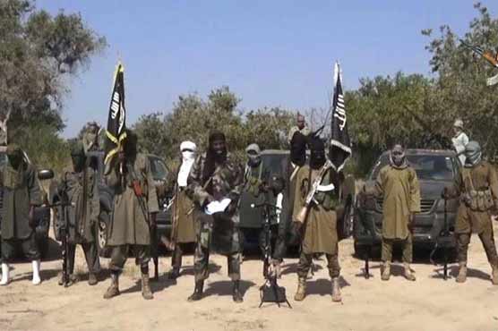 Boko Haram fighters kill 13 villagers in attack in NE Nigeria: witnesses