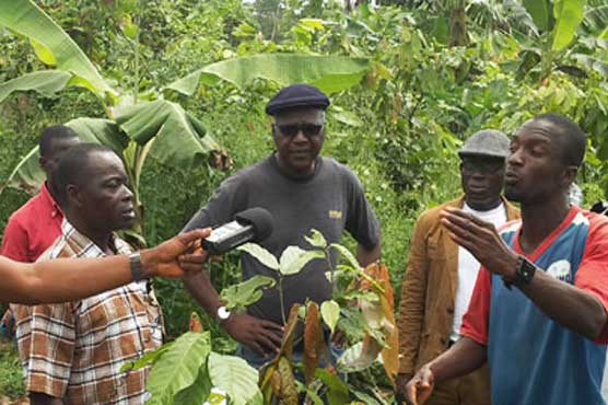 At least 23 people killed in Brazil land strife this year