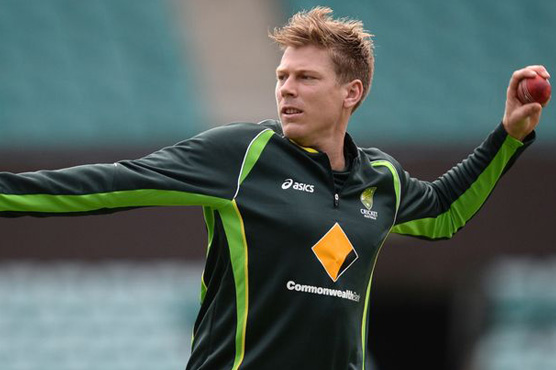 Cricket: Faulkner fined for drink-drive collision 