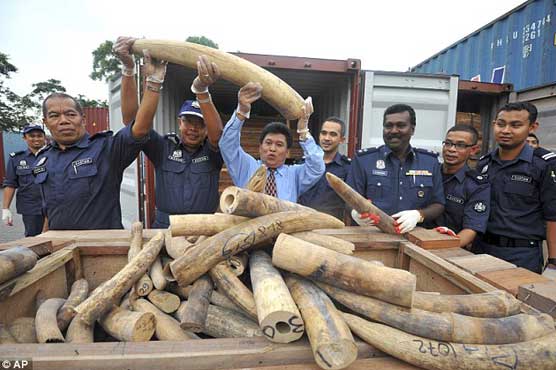 China pledges $2 million to curb poaching in Zimbabwe 