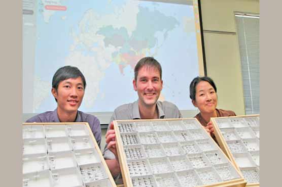World's first ant map launched in Hong Kong