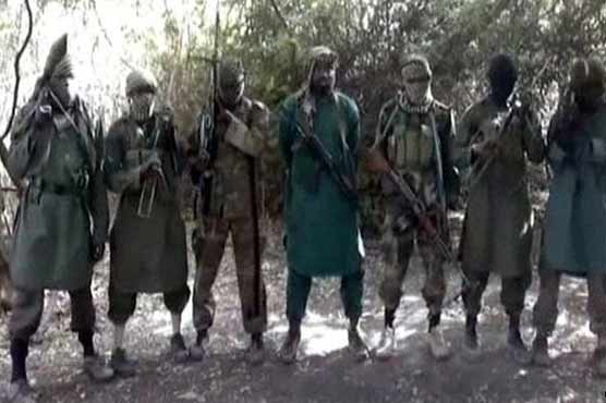 Boko Haram guns down 9 villagers in NE Nigeria: survivors