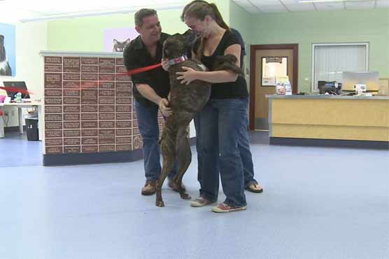 Alabama family reunites with dog missing for 9 years