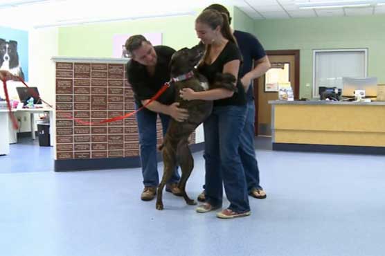 Family reunites with dog missing for 9 years