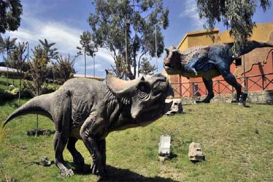 During mass extinction, no species safe: study