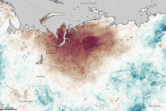 Wildfires intensify in Siberia 