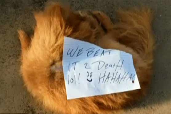 Dog killed in Florida found with note: 'WE BEAT IT 2 Death lol! :) HAHAHA!'