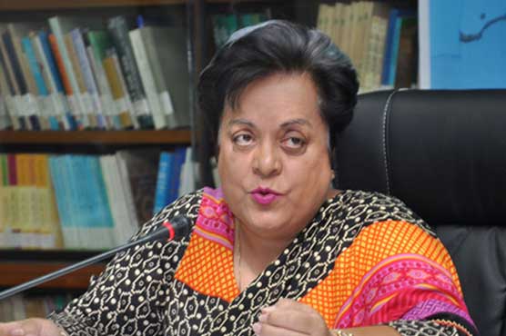 PTI calls for judicial commission over Mushahidullah's interview